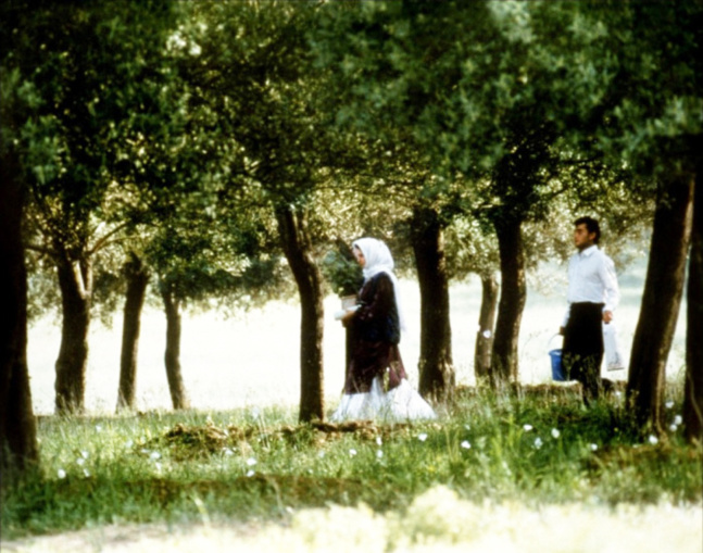 Au travers des oliviers Au travers des oliviers