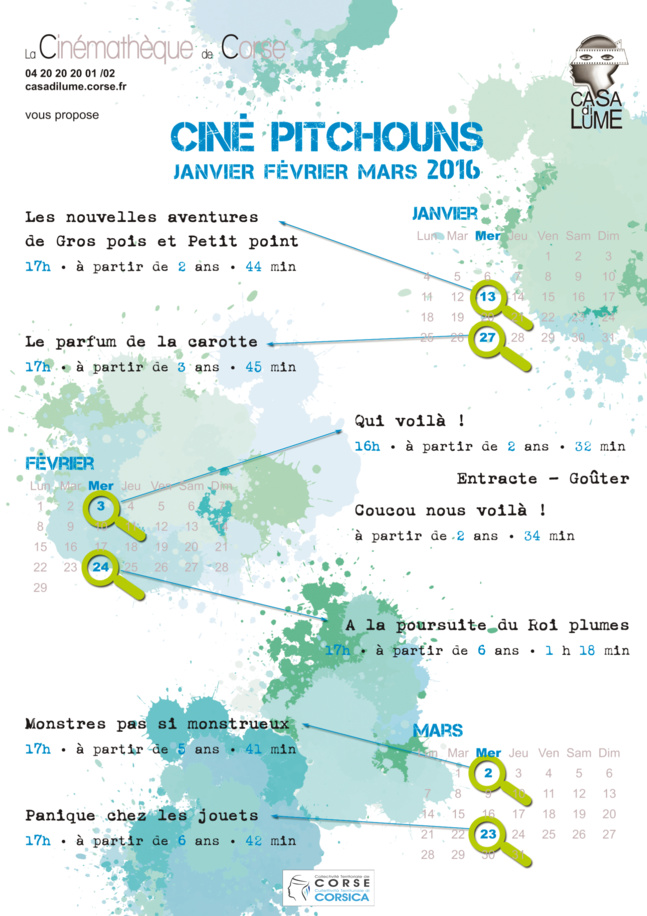 PROGRAMME CINE PITCHOUNS