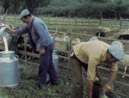 "Da la piaghja a la muntagna" et "Stonde"  à Ania, Serra di Fiumorbo.