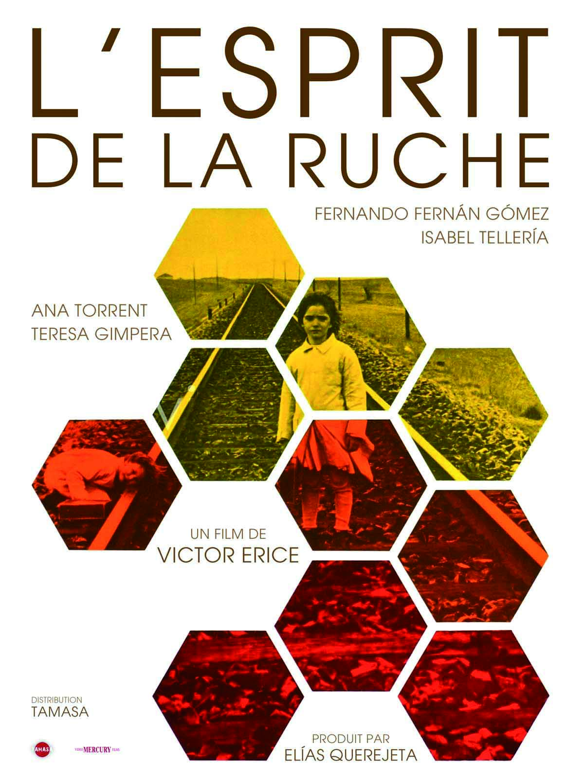 Programme européen d’éducation au cinéma:Journée de formation et d’information à destination des enseignants,bibliothécaires et acteurs de l’éducation à l’image de Corse.Le 11 juin 2018 à 9h00.