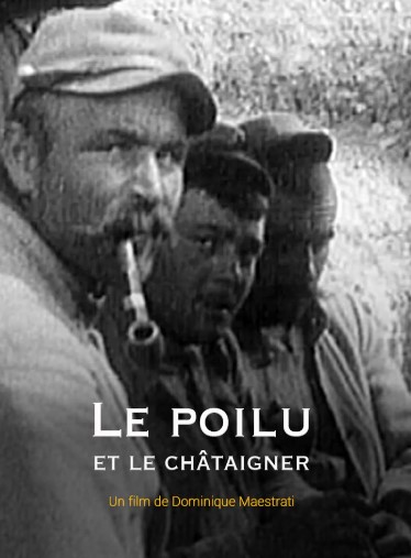 Le poilu et le châtaignier • 11/11 • 11h45