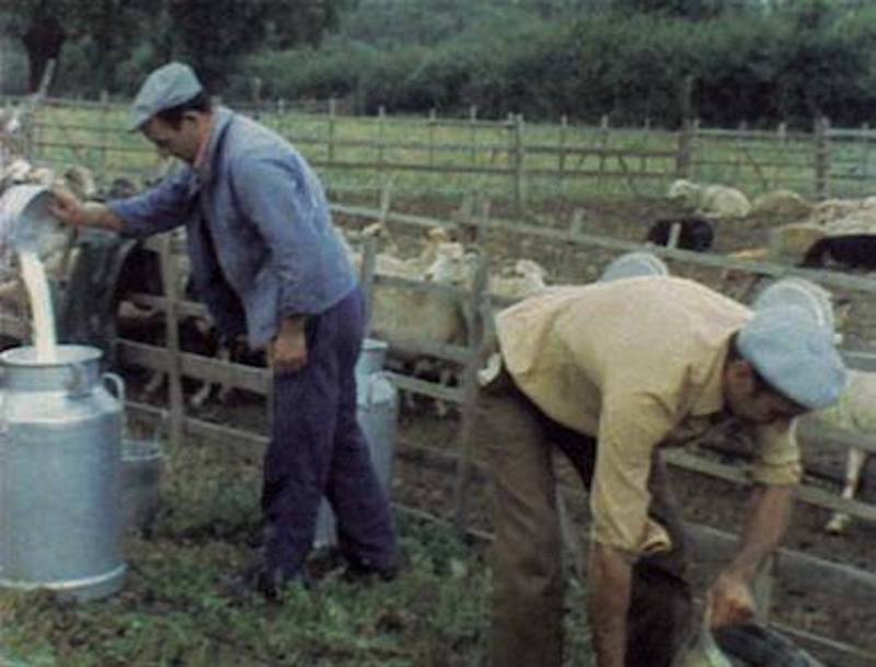 Noëlle Vincensini • du 03 au 07 février 2026