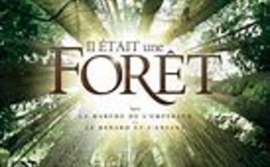 Projection dans les Jardins de l'Hôtel de Région le 5 Septembre à 21h00, du film "Il était une forêt" de Luc Jacquet.En présence de Francis Hallé botaniste et biologiste, co-auteur du film. 