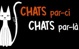 Ciné-Goûter • 30 Octobre à 16h00 • 