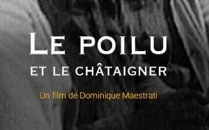 Le poilu et le châtaignier • 11/11 • 11h45