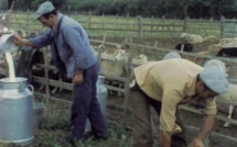 Da la piaghja a la muntagna